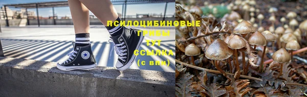 PSILOCYBIN Армянск