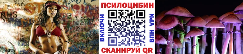 продажа наркотиков  Шатура  omg ССЫЛКА  Псилоцибиновые грибы Cubensis 